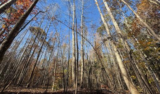 Photo #18 of Off Russell Union Road, Manson, NC 8.0 acres