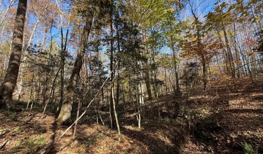 Photo #19 of Off Russell Union Road, Manson, NC 8.0 acres