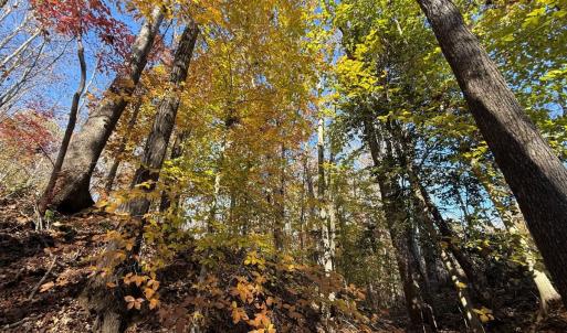 Photo #6 of Off Russell Union Road, Manson, NC 8.0 acres