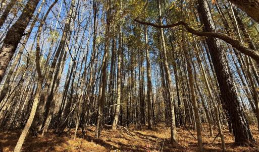 Photo #28 of Off Russell Union Road, Manson, NC 8.0 acres