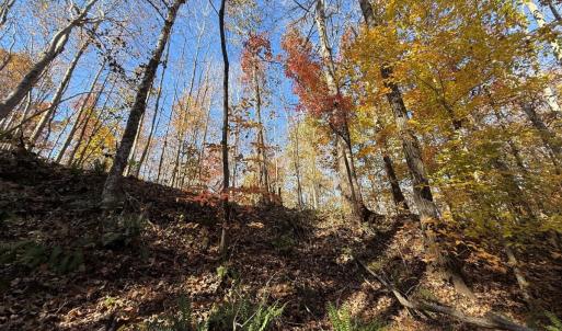 Photo #30 of Off Russell Union Road, Manson, NC 8.0 acres