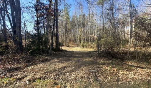 Photo #54 of Off Russell Union Road, Manson, NC 8.0 acres