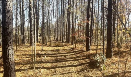 Photo #55 of Off Russell Union Road, Manson, NC 8.0 acres