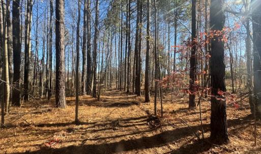 Photo #56 of Off Russell Union Road, Manson, NC 8.0 acres