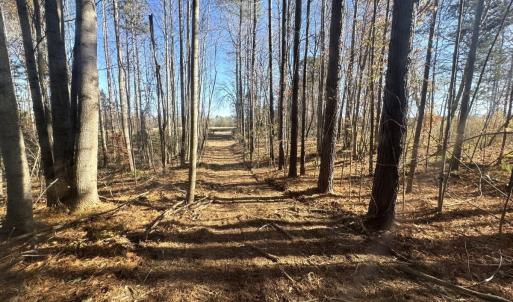 Photo #57 of Off Russell Union Road, Manson, NC 8.0 acres