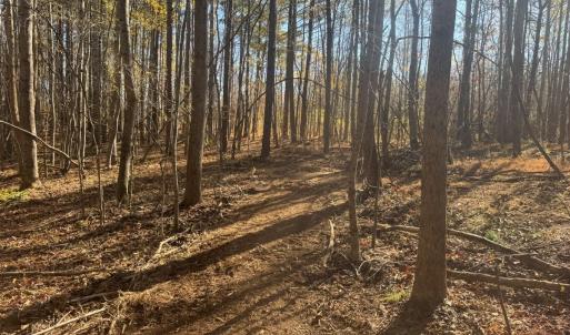 Photo #58 of Off Russell Union Road, Manson, NC 8.0 acres