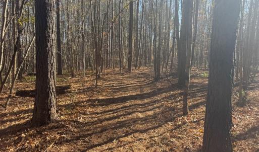 Photo #59 of Off Russell Union Road, Manson, NC 8.0 acres