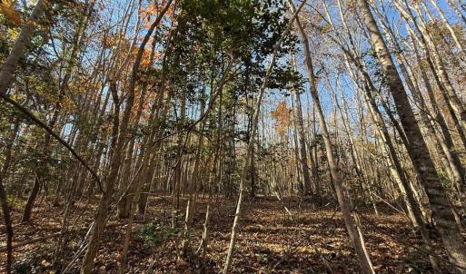 Photo #10 of Off Russell Union Road, Manson, NC 8.0 acres