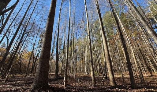 Photo #20 of Off Russell Union Road, Manson, NC 8.0 acres