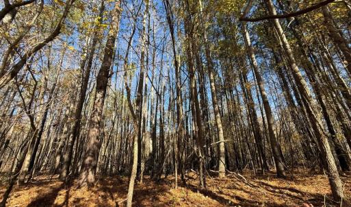 Photo #8 of Off Russell Union Road, Manson, NC 8.0 acres