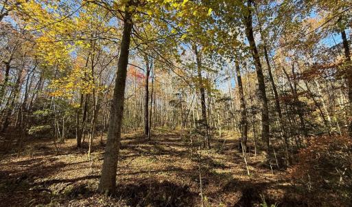 Photo #9 of Off Russell Union Road, Manson, NC 8.0 acres