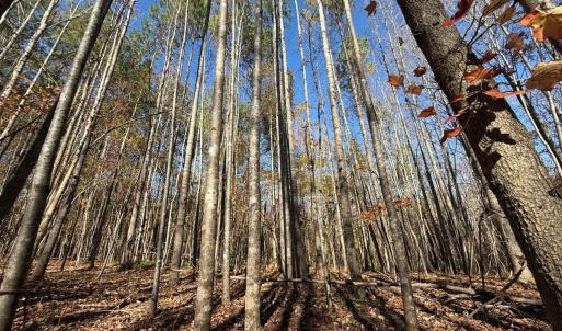 Photo #26 of Off Russell Union Road, Manson, NC 8.0 acres