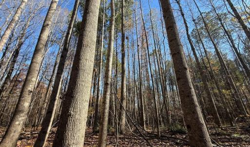 Photo #27 of Off Russell Union Road, Manson, NC 8.0 acres