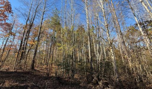 Photo #29 of Off Russell Union Road, Manson, NC 8.0 acres