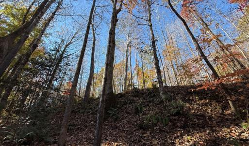 Photo #41 of Off Russell Union Road, Manson, NC 8.0 acres