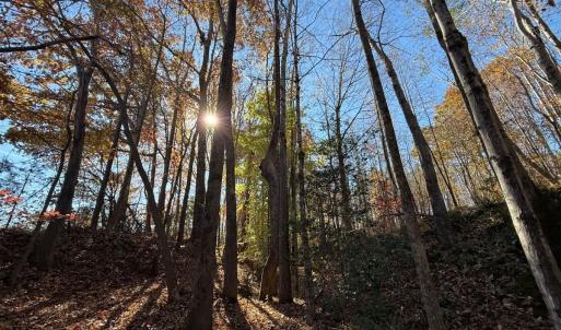 Photo #42 of Off Russell Union Road, Manson, NC 8.0 acres