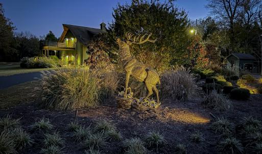 Photo #72 of 784 & 785 Glennie Irvin Road, Semora, NC 146.3 acres