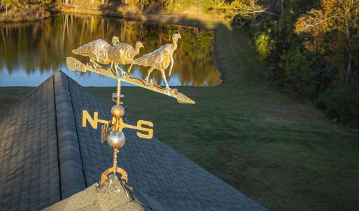 Photo #76 of 784 & 785 Glennie Irvin Road, Semora, NC 146.3 acres