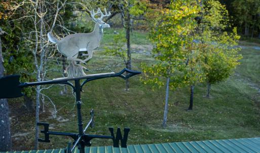 Photo #87 of 784 & 785 Glennie Irvin Road, Semora, NC 146.3 acres