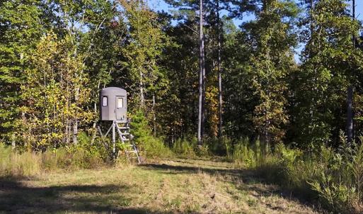 Photo #91 of 784 & 785 Glennie Irvin Road, Semora, NC 146.3 acres