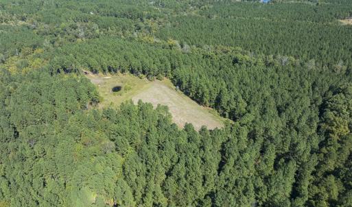 Photo #97 of 784 & 785 Glennie Irvin Road, Semora, NC 146.3 acres