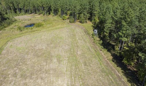 Photo #98 of 784 & 785 Glennie Irvin Road, Semora, NC 146.3 acres