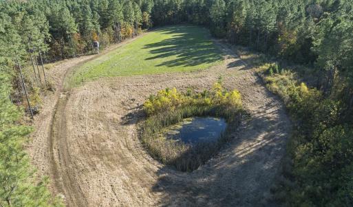 Photo #100 of 784 & 785 Glennie Irvin Road, Semora, NC 146.3 acres