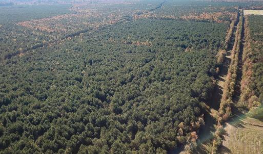 Photo #1 of 467 AC Baum Rd VA & 266 Ac W  Gibbs Rd Currituck Co NC, Currituck, NC 733.0 acres