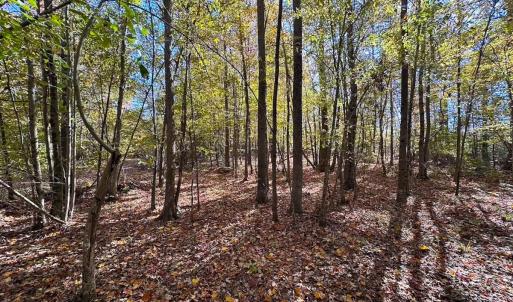 Photo #7 of 467 AC Baum Rd VA & 266 Ac W  Gibbs Rd Currituck Co NC, Currituck, NC 733.0 acres