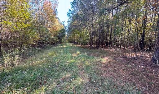 Photo #10 of 467 AC Baum Rd VA & 266 Ac W  Gibbs Rd Currituck Co NC, Currituck, NC 733.0 acres