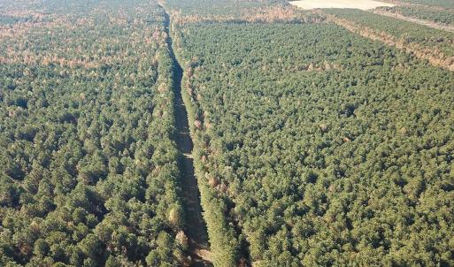 Photo #11 of 467 AC Baum Rd VA & 266 Ac W  Gibbs Rd Currituck Co NC, Currituck, NC 733.0 acres