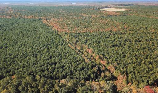 Photo #18 of 467 AC Baum Rd VA & 266 Ac W  Gibbs Rd Currituck Co NC, Currituck, NC 733.0 acres