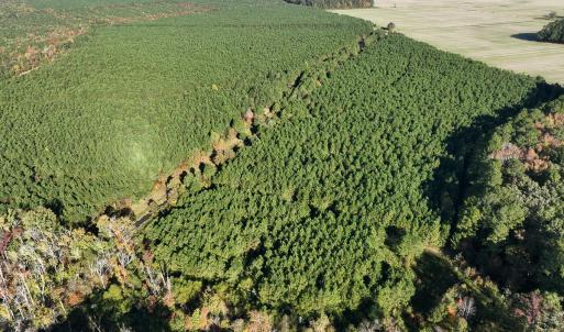 Photo #21 of 467 AC Baum Rd VA & 266 Ac W  Gibbs Rd Currituck Co NC, Currituck, NC 733.0 acres