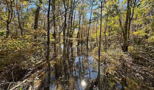 Photo #24 of 467 AC Baum Rd VA & 266 Ac W  Gibbs Rd Currituck Co NC, Currituck, NC 733.0 acres