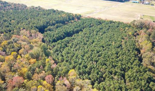 Photo #25 of 467 AC Baum Rd VA & 266 Ac W  Gibbs Rd Currituck Co NC, Currituck, NC 733.0 acres