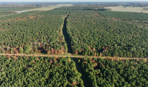 Photo #28 of 467 AC Baum Rd VA & 266 Ac W  Gibbs Rd Currituck Co NC, Currituck, NC 733.0 acres