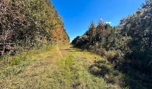 Photo #30 of 467 AC Baum Rd VA & 266 Ac W  Gibbs Rd Currituck Co NC, Currituck, NC 733.0 acres