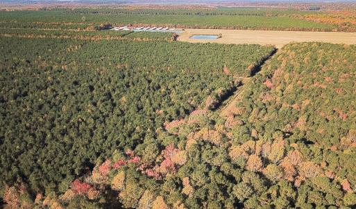 Photo #31 of 467 AC Baum Rd VA & 266 Ac W  Gibbs Rd Currituck Co NC, Currituck, NC 733.0 acres