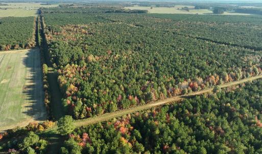 Photo #32 of 467 AC Baum Rd VA & 266 Ac W  Gibbs Rd Currituck Co NC, Currituck, NC 733.0 acres