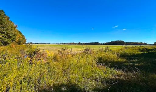 Photo #33 of 467 AC Baum Rd VA & 266 Ac W  Gibbs Rd Currituck Co NC, Currituck, NC 733.0 acres