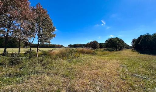 Photo #34 of 467 AC Baum Rd VA & 266 Ac W  Gibbs Rd Currituck Co NC, Currituck, NC 733.0 acres