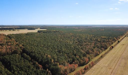 Photo #37 of 467 AC Baum Rd VA & 266 Ac W  Gibbs Rd Currituck Co NC, Currituck, NC 733.0 acres
