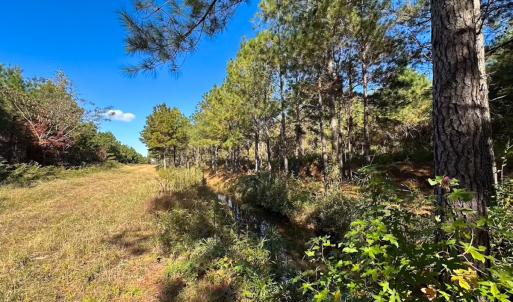 Photo #38 of 467 AC Baum Rd VA & 266 Ac W  Gibbs Rd Currituck Co NC, Currituck, NC 733.0 acres