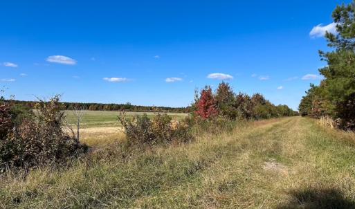 Photo #39 of 467 AC Baum Rd VA & 266 Ac W  Gibbs Rd Currituck Co NC, Currituck, NC 733.0 acres