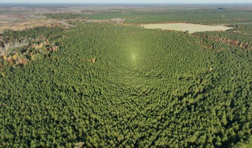 Photo #40 of 467 AC Baum Rd VA & 266 Ac W  Gibbs Rd Currituck Co NC, Currituck, NC 733.0 acres