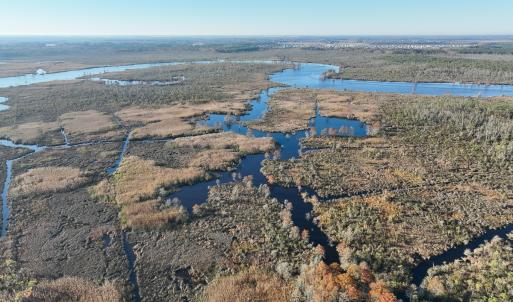 Photo #8 of 467 AC Baum Rd VA & 266 Ac W  Gibbs Rd Currituck Co NC, Currituck, NC 733.0 acres