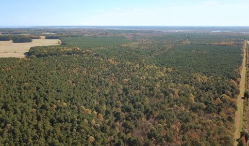 Photo #45 of 467 AC Baum Rd VA & 266 Ac W  Gibbs Rd Currituck Co NC, Currituck, NC 733.0 acres