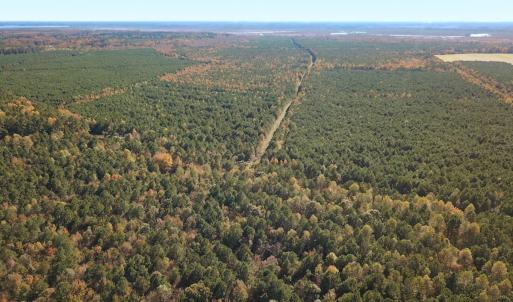 Photo #47 of 467 AC Baum Rd VA & 266 Ac W  Gibbs Rd Currituck Co NC, Currituck, NC 733.0 acres