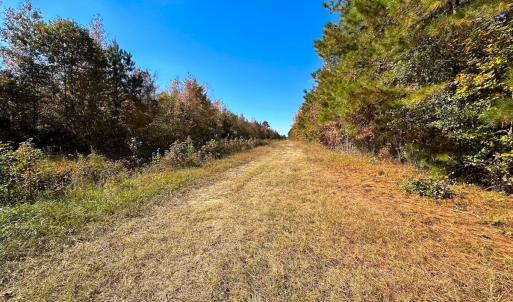 Photo #48 of 467 AC Baum Rd VA & 266 Ac W  Gibbs Rd Currituck Co NC, Currituck, NC 733.0 acres