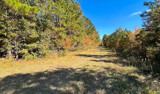 Photo #49 of 467 AC Baum Rd VA & 266 Ac W  Gibbs Rd Currituck Co NC, Currituck, NC 733.0 acres